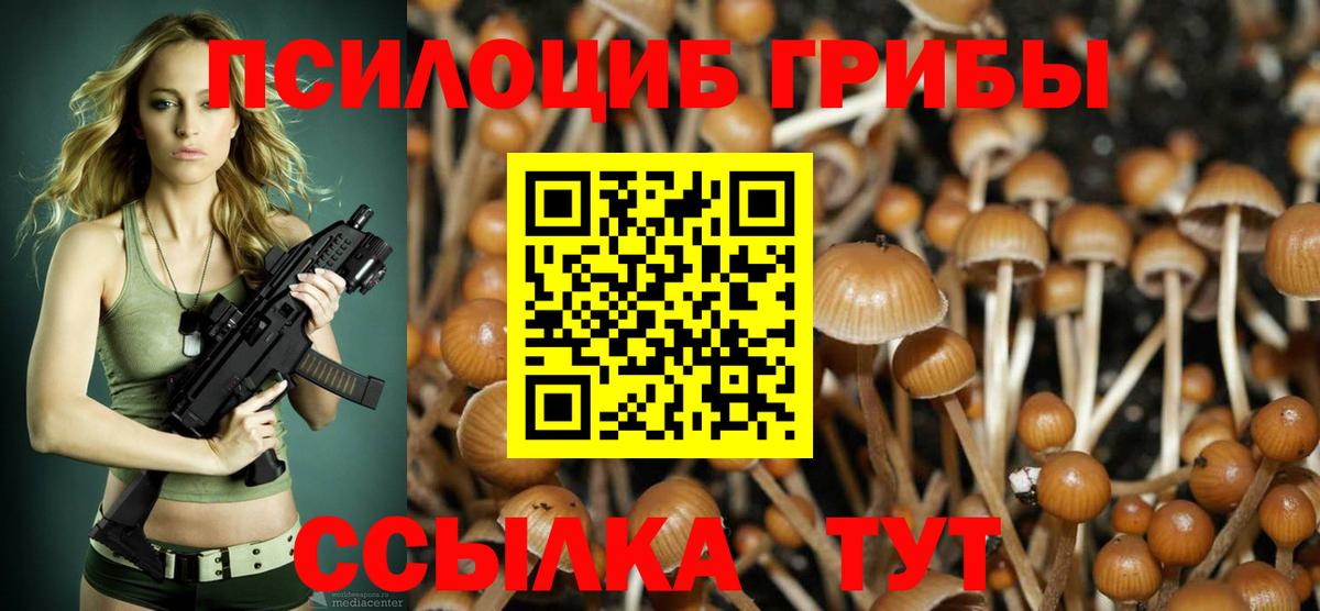 Псилоцибиновые грибы мицелий  Вход с VPN  Псилоцибиновые грибы Magic Shrooms  Кимры 
